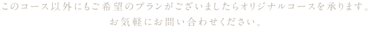 このコース以外にもご希望のプランがございましたらオリジナルコースを承ります。お気軽にお問い合わせください。